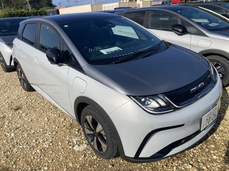 2024 BYD DOLPHIN